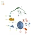 Hidrovacuo Servo Freio Ranger 2016/203 Eb3c2002ea 