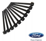 Jogo Parafuso Cabecote Duratec M10 X 1.25mm Cp9z6065a